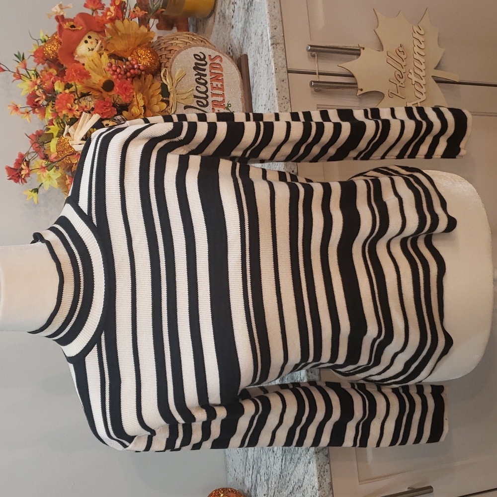 TALBOTS Petites Striped Turtleneck Sweater